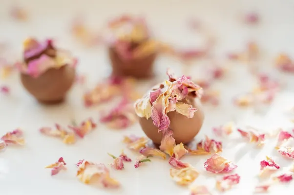 Kazino Rocket Slots Android/iOS Lietotne